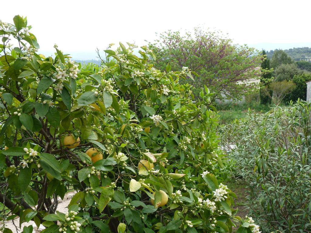 La Bastide Des Senteurs Ξενοδοχείο Peymeinade Εξωτερικό φωτογραφία